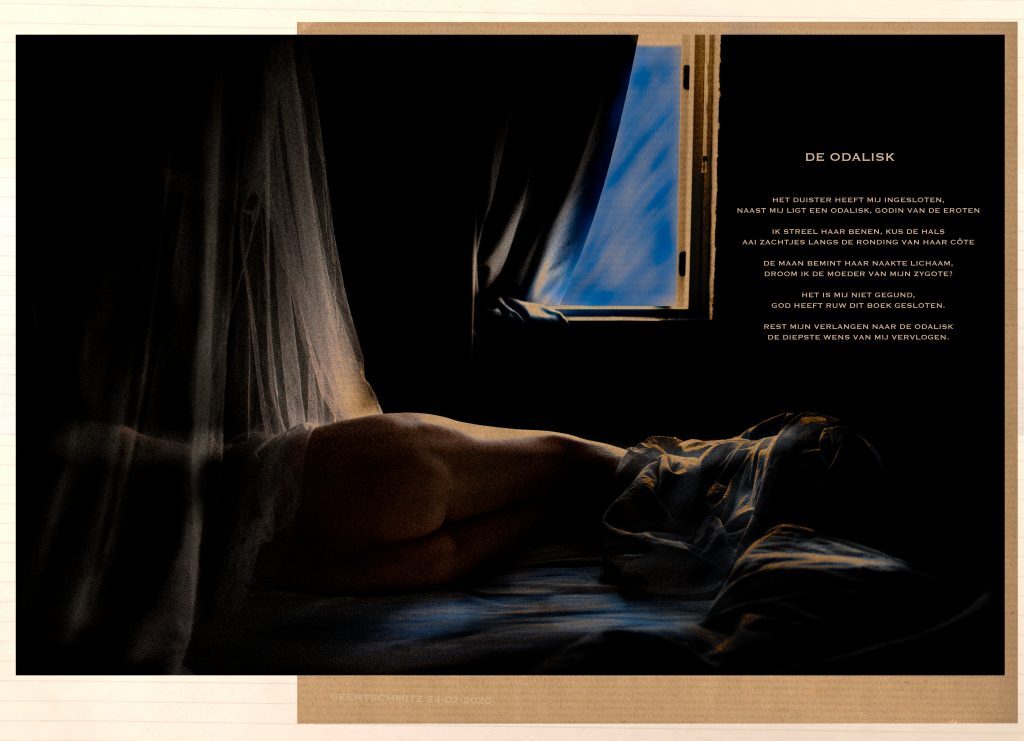 Dinsdag Dichtdag - De Odalisk